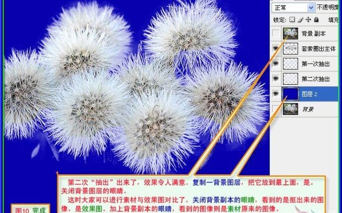 用PS抠出蒲公英的两种方法