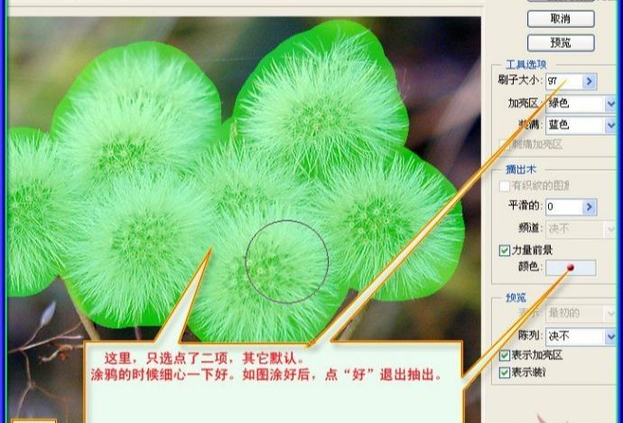 用PS抠出蒲公英的两种方法