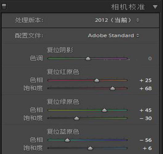 ps通过LR给人像调出暗调森林系照片