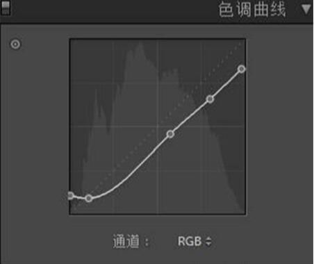 ps通过LR给人像调出暗调森林系照片