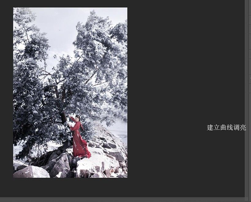 Photoshop快速调出冬季冷色调雪景效果