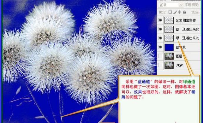 用PS抠出蒲公英的两种方法