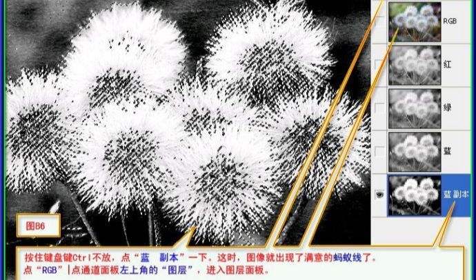 用PS抠出蒲公英的两种方法