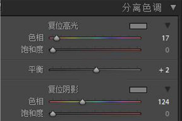 ps通过LR给人像调出暗调森林系照片