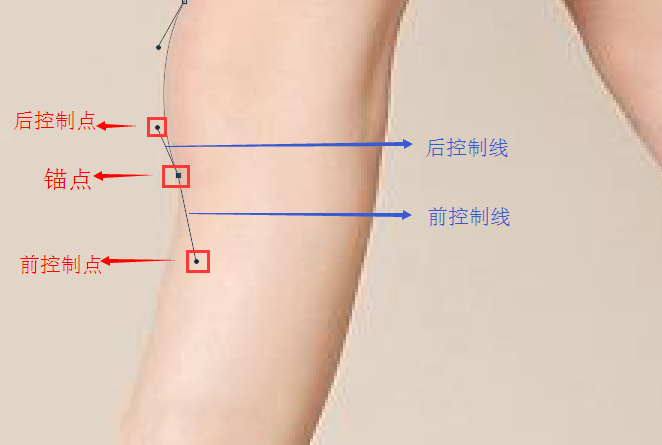 PS钢笔工具