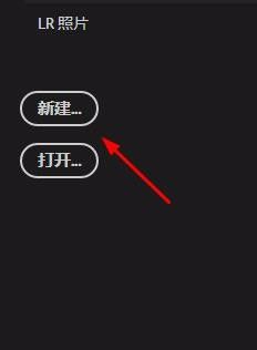ps2019使用方法