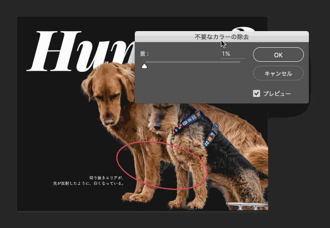 ps调整边缘抠汪星人