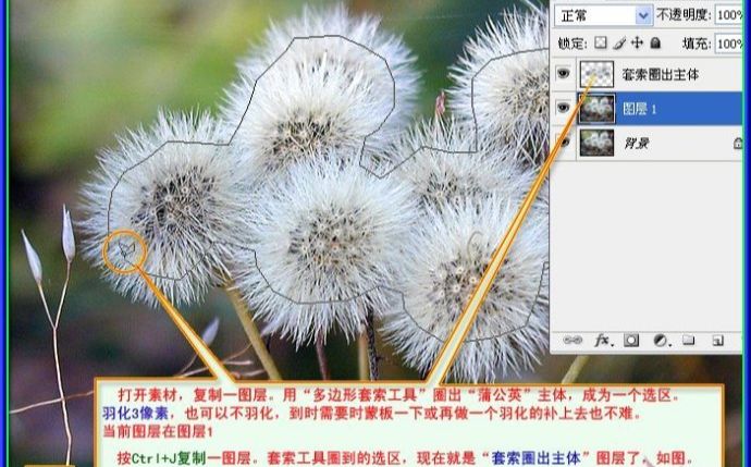 用PS抠出蒲公英的两种方法