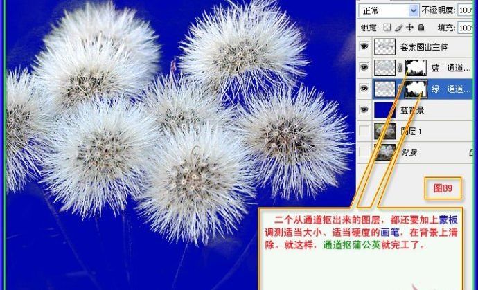 用PS抠出蒲公英的两种方法