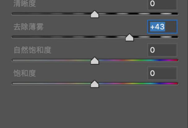 ps通过LR调出前期雾蒙蒙的逆光小清新