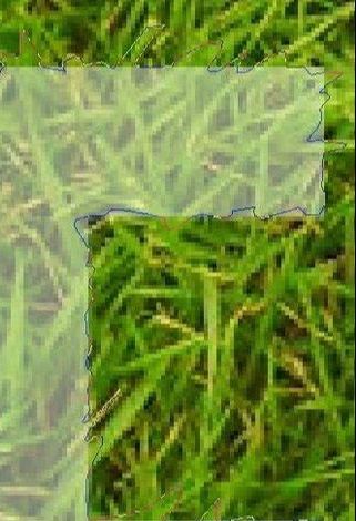 ps做毛茸茸的绿草字