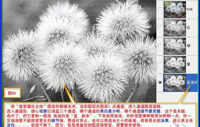用PS抠出蒲公英的两种方法