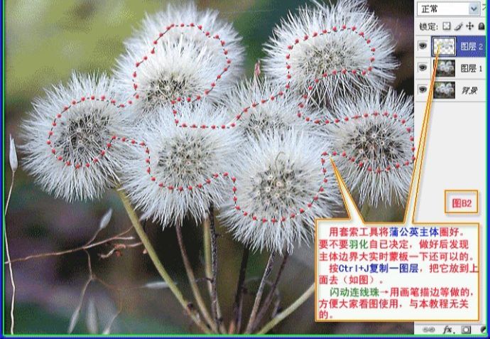 用PS抠出蒲公英的两种方法