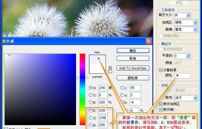 用PS抠出蒲公英的两种方法