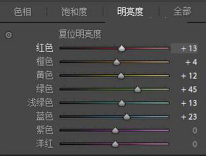 ps通过LR给人像调出暗调森林系照片
