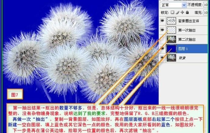 用PS抠出蒲公英的两种方法