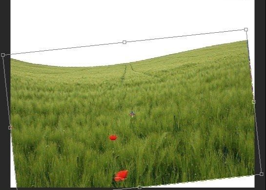 ps照片合成草坪上的父子场景