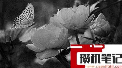 PPT如何制作X光扫描动画效果