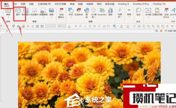 PPT如何制作X光扫描动画效果