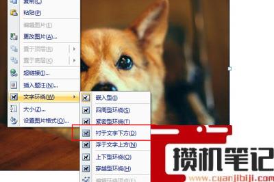 Word九宫格图片怎么做