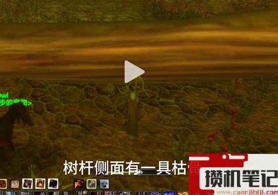 《魔兽世界》乌龟服悲伤沼泽的遗忘之书位置介绍