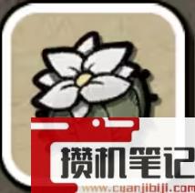 《鼠托邦》物资材料获得方法大全