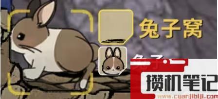 《鼠托邦》物资材料获得方法大全