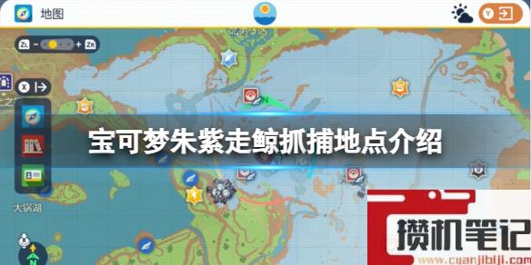 《宝可梦朱紫》走鲸抓捕地点介绍