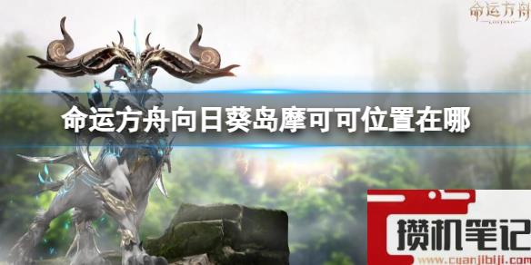 《命运方舟》向日葵岛摩可可位置攻略