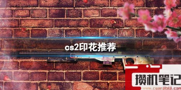 《cs2》印花推荐介绍