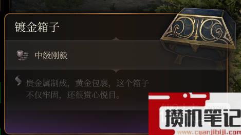 博德之门3镀金箱子一览