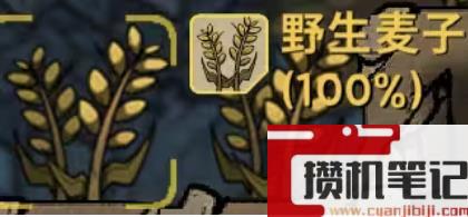 《鼠托邦》物资材料获得方法大全