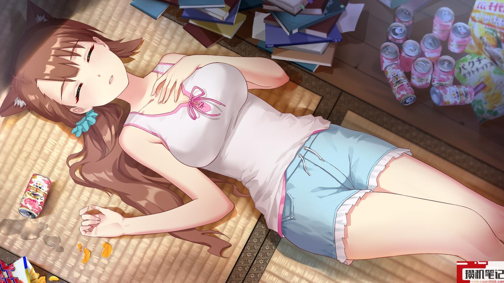 视觉小说夏事件簿公布