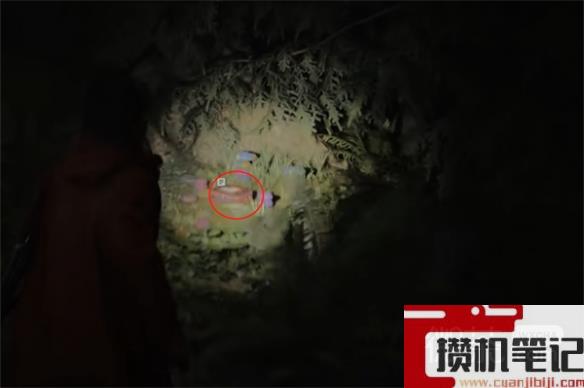 心灵杀手2猎巫人小屋左上午餐盒位置一览