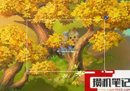 《梦幻西游》爱鸭鸭玩法介绍