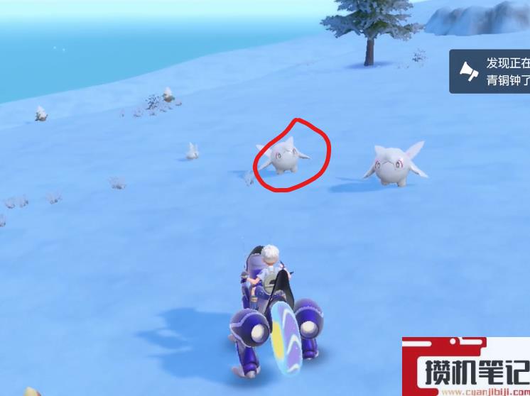 《宝可梦朱紫》走鲸抓捕地点介绍