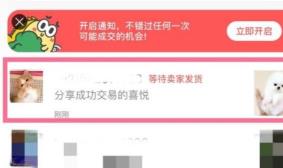 闲鱼微信小程序下单怎么退款