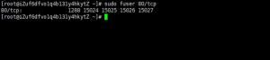 linux端口占用查询命令