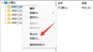 Win11无法将值写入注册表怎么办