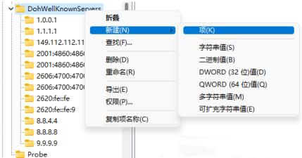 Win11无法进行DNS加密怎么办